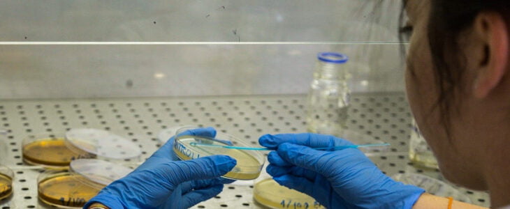 Istituto-torno-biologia